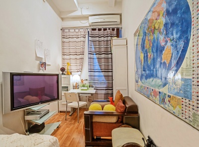 4 Комнаты, Городская, Аренда, Спиридоньевский переулок, дом 10А, Listing ID 2073, Москва, Россия,