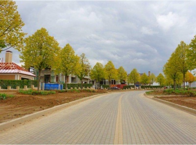 3 Bedrooms, Загородная, Продажа, Listing ID 2106, Московская область, Россия,