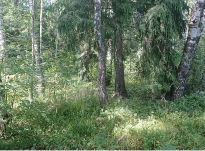 Загородная, Продажа, Listing ID 2293, Московская область, Россия,