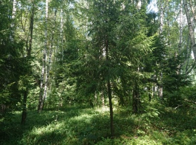 Загородная, Продажа, Listing ID 2293, Московская область, Россия,
