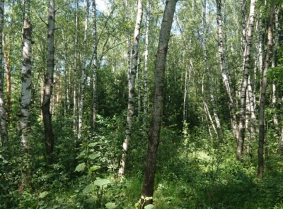Загородная, Продажа, Listing ID 2293, Московская область, Россия,