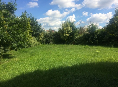 3 Bedrooms, Загородная, Продажа, Listing ID 2434, Московская область, Россия,
