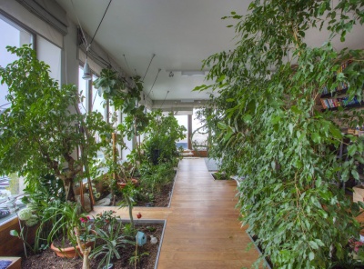 5 Комнаты, Городская, Продажа, Чапаевский переулок, Listing ID 2501, Москва, Россия,