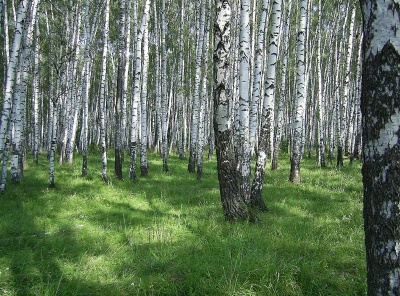 Загородная, Продажа, Listing ID 2618, Московская область, Россия,