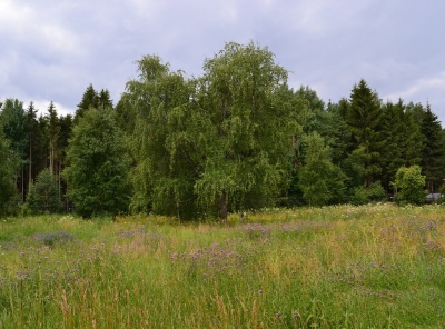 Загородная, Продажа, Listing ID 2687, Московская область, Россия,