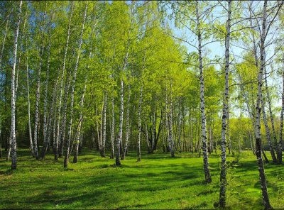 Загородная, Продажа, Listing ID 2687, Московская область, Россия,