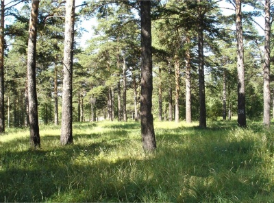 Загородная, Продажа, Listing ID 2687, Московская область, Россия,
