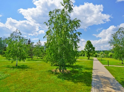 3 Bedrooms, Загородная, Продажа, Listing ID 2899, Московская область, Россия,