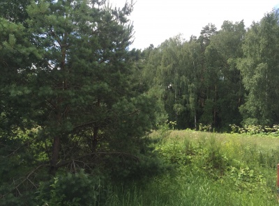 Загородная, Продажа, Listing ID 3187, Московская область, Россия,