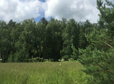Загородная, Продажа, Listing ID 3187, Московская область, Россия,