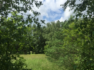 Загородная, Продажа, Listing ID 3187, Московская область, Россия,