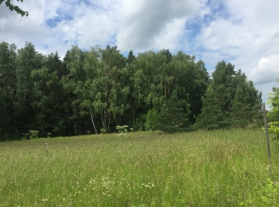 Загородная, Продажа, Listing ID 3188, Московская область, Россия,