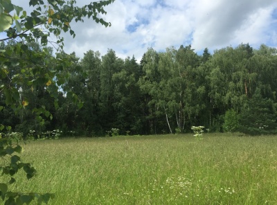 Загородная, Продажа, Listing ID 3188, Московская область, Россия,