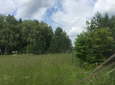 Загородная, Продажа, Listing ID 3188, Московская область, Россия,