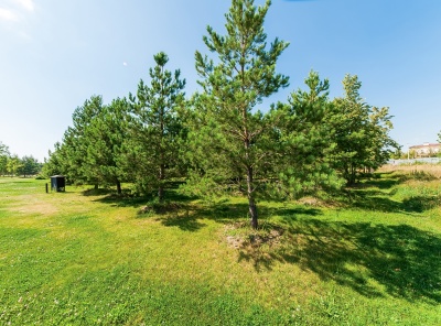 Загородная, Продажа, Listing ID 3519, Московская область, Россия,