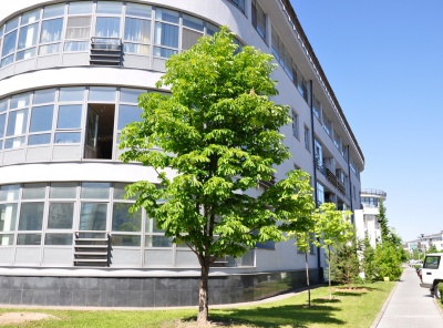 6 Комнаты, Городская, Продажа, Островной проезд, Listing ID 3821, Москва, Россия,