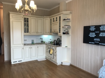 1 Bedrooms, 2 Комнаты, Загородная, Продажа, Listing ID 3864, Московская область, Россия,