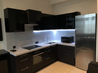 1 Bedrooms, 2 Комнаты, Загородная, Аренда, Listing ID 3866, Московская область, Россия,