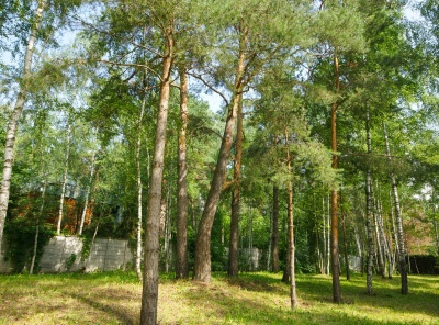 Загородная, Продажа, Listing ID 3869, Московская область, Россия,