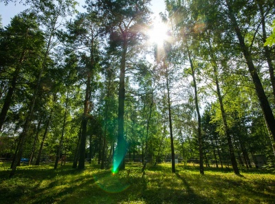 Загородная, Продажа, Listing ID 3869, Московская область, Россия,