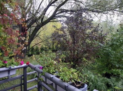 5 Комнаты, Городская, Продажа, Улица Островная, Listing ID 4111, Москва, Россия,