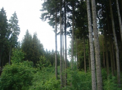 Загородная, Продажа, Listing ID 4180, Московская область, Россия,
