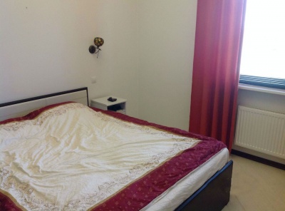 1 Bedrooms, 2 Комнаты, Загородная, Аренда, Listing ID 4463, Московская область, Россия,