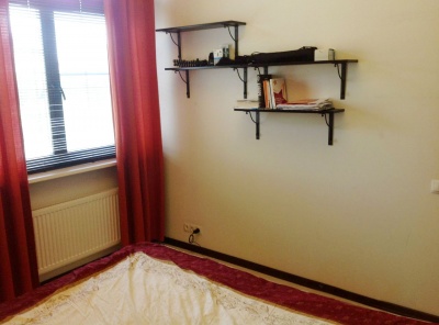 1 Bedrooms, 2 Комнаты, Загородная, Аренда, Listing ID 4463, Московская область, Россия,