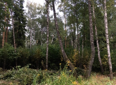 Загородная, Продажа, Listing ID 4780, Московская область, Россия,