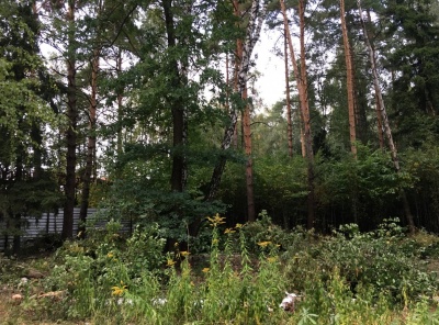 Загородная, Продажа, Listing ID 4780, Московская область, Россия,