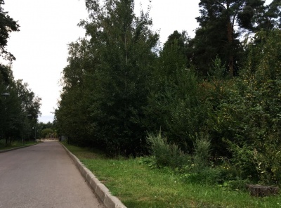 Загородная, Продажа, Listing ID 4780, Московская область, Россия,