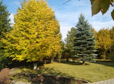 4 Bedrooms, 6 Комнаты, Загородная, Продажа, Listing ID 4952, Московская область, Россия,