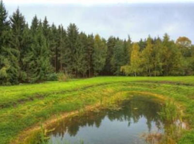 4 Bedrooms, Загородная, Продажа, Listing ID 1393, Московская область, Россия,