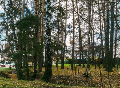 4 Bedrooms, Загородная, Продажа, Listing ID 1399, Московская область, Россия,