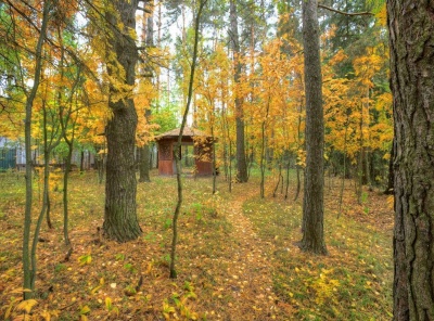 4 Bedrooms, Загородная, Продажа, Listing ID 1399, Московская область, Россия,