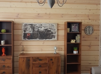 3 Bedrooms, 5 Комнаты, Загородная, Аренда, Listing ID 5378, Московская область, Россия,