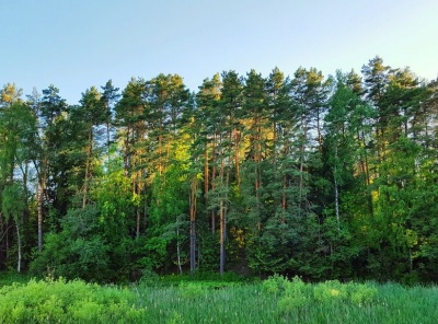 6 Bedrooms, Загородная, Продажа, Listing ID 1432, Московская область, Россия,