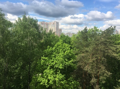 3 Комнаты, Городская, Продажа, Улица Согласия, Listing ID 5995, Москва, Россия,