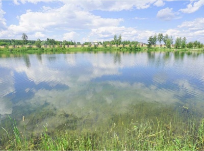 4 Bedrooms, Загородная, Продажа, Listing ID 1491, Московская область, Россия,